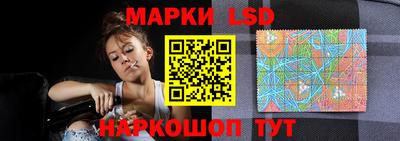 прущие грибы Донской