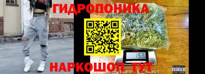 прущие грибы Донской